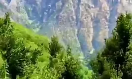 Rüyada Darı Görmek Ne Anlama Gelir Neye Yorumlanır?
