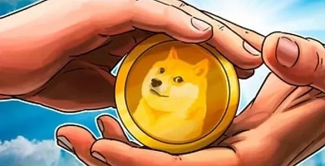 Dogedoge