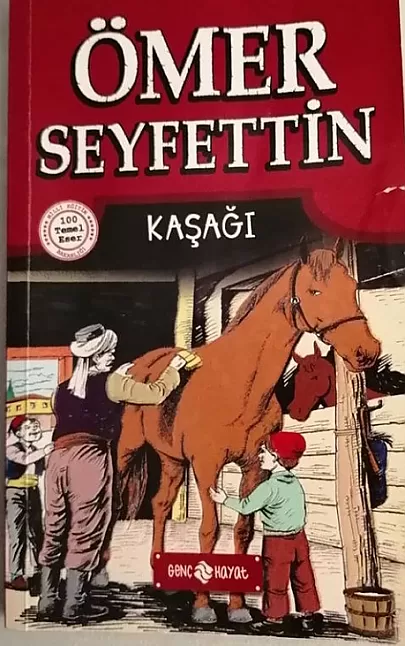 Kaşağı Hikaye Özeti 