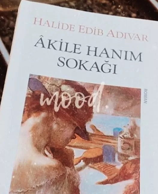 Akile Hanım Sokağı | Halide Edip Adıvar