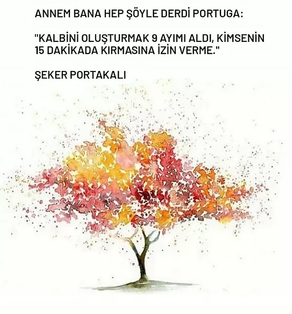 Şeker portakalı