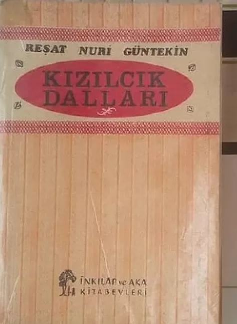 Reşat Nuri Güntekin kızılcık dalları kitabı