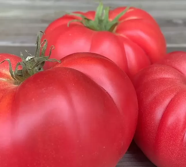 Rüyada Domates görmek nasıl yorumlanır ?