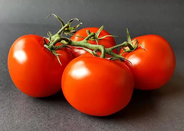Rüyada Domates görmek