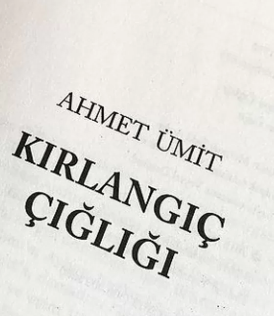 Kırlangıç çığlığı kitap özeti