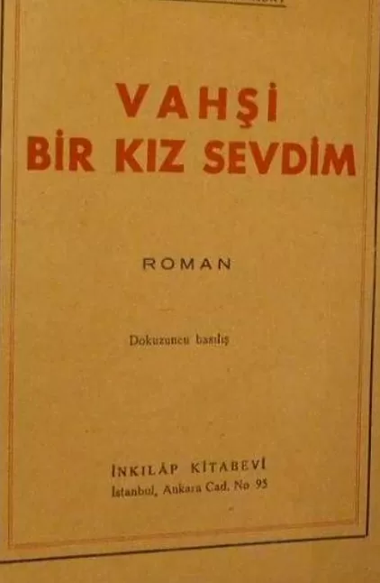 Vahşi Bir Kız Sevdim Kitap Özeti | Esat Mahmut Karakurt