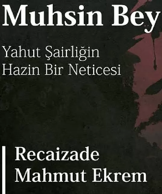 Muhsin Bey hikaye özeti