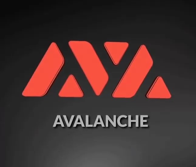 Avalanche (AVAX) coin nedir? 