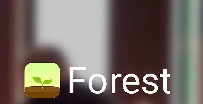 Forest uygulaması nedir ?