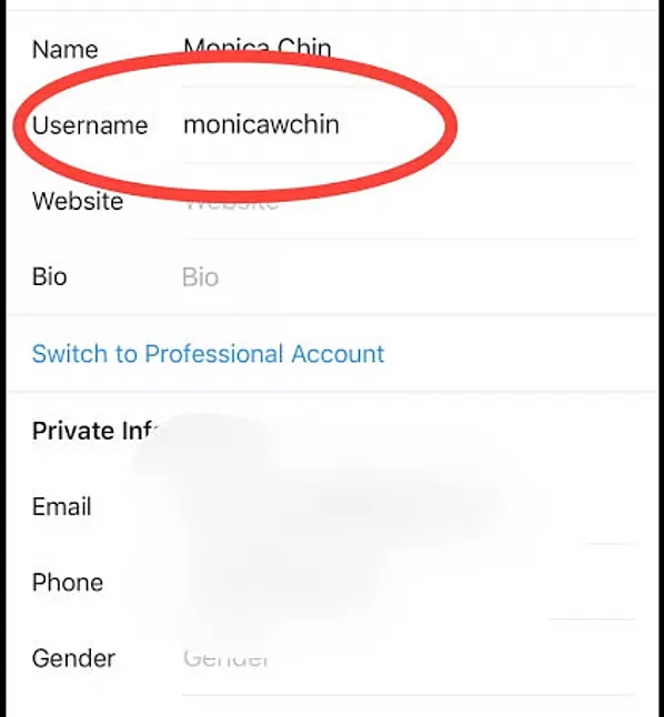 İnstagram Kullanıcı Adınızı Nasıl Değiştirirsiniz ?