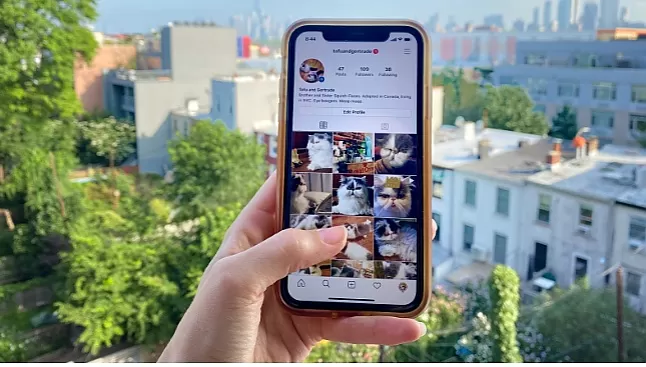 Instagram resimleri Nasıl İndirilir ?