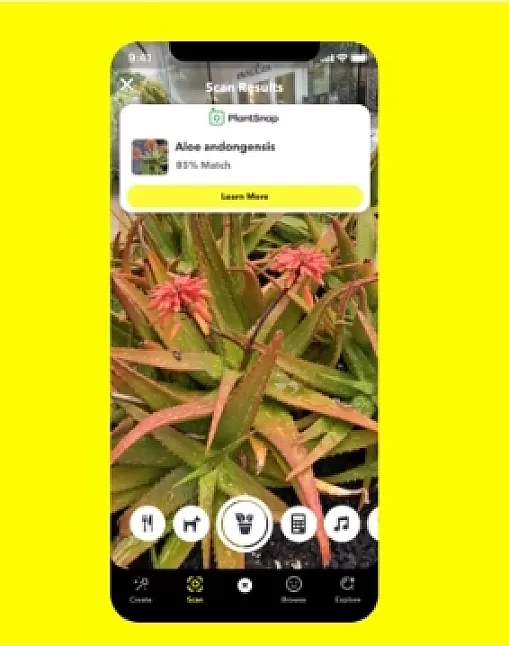 Snapchat bitki ve hayvanlar nasıl tanımlanır ?
