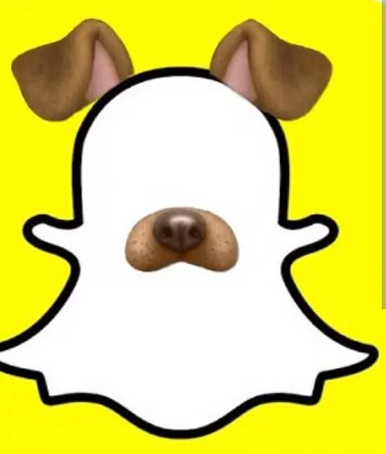 Snapchat hayvan ve bitki figürleri nasıl yapılır ?