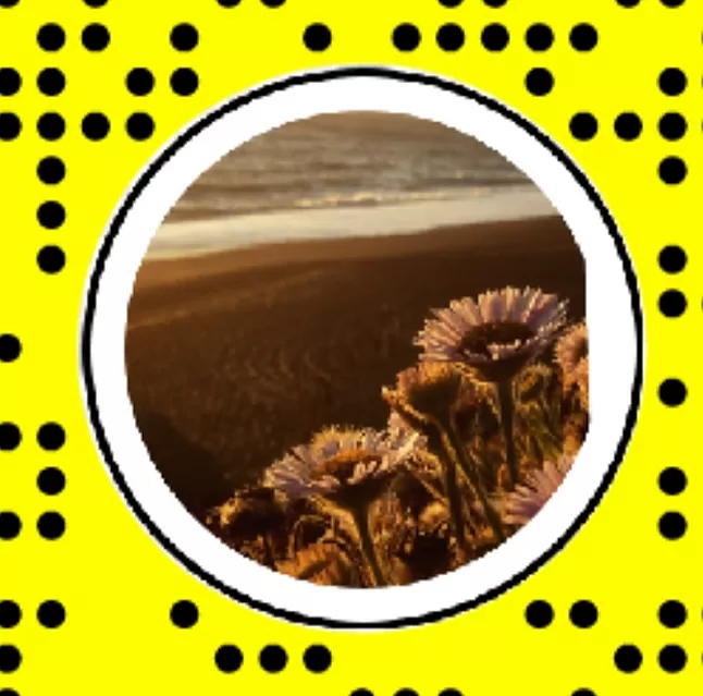 Bitkiler Ve Hayvanlar Snapchat'te Nasıl Tanımlanır ?