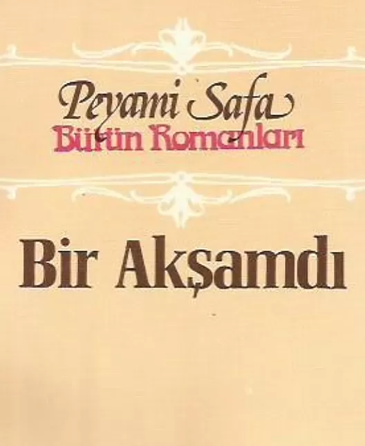 Bir akşamdı kitap