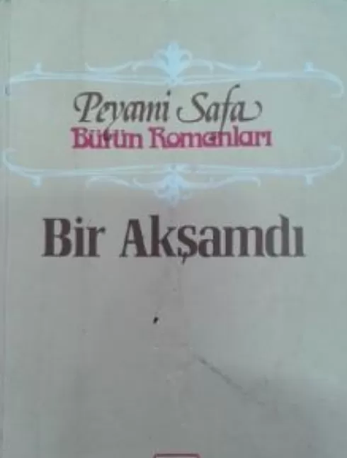 Bir akşamdı