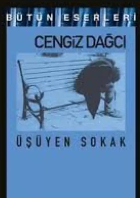 Üşüyen Sokak Eser Özeti