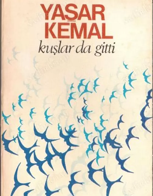 Kuşlar da Gitti Eser Özeti | Yaşar Kemal