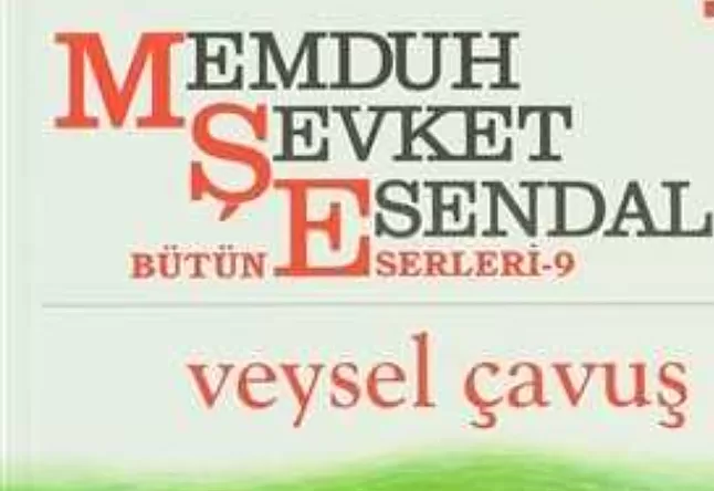 Veysel Çavuş Hikaye Özeti | Memduh Şevket Esendal 