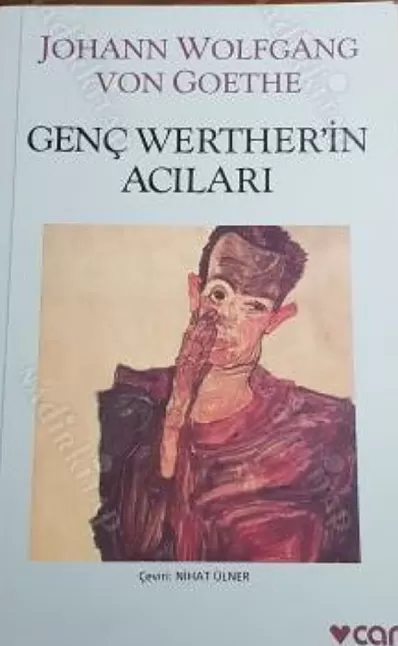 Genç Werther’in Acıları Roman Özeti | Goethe