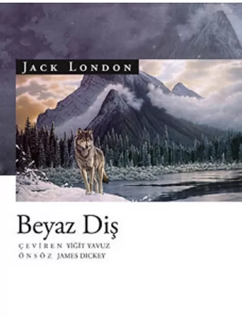 Beyaz Diş Roman Özeti | Jack London