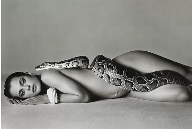 Richard Avedon'un Sanatı çalışmaları hakkında bilgiler Richard Avedon Kimdir ?Richard Avedon Hayatı Ve Biyografisi Nedir ?