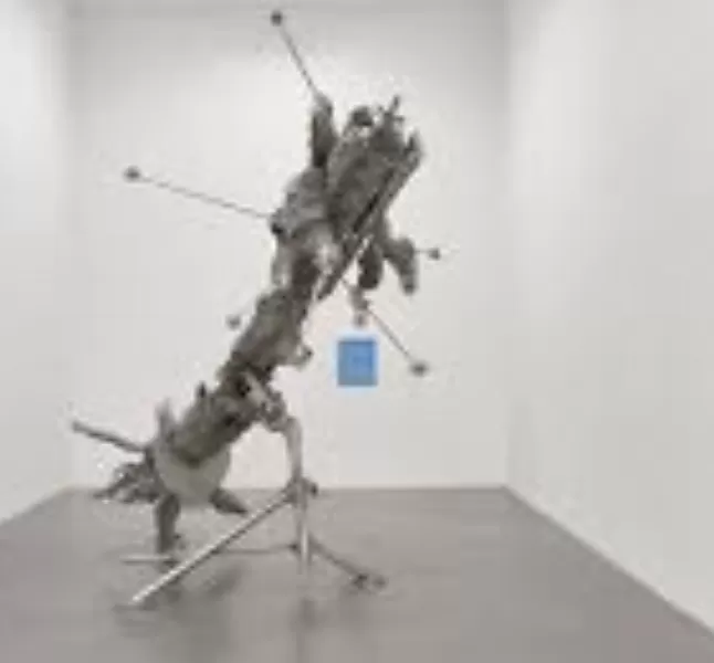 Matthew Barney neler yaptı Kariyeri nelerdir Matthew Barney Kimdir ?Matthew Barney Hayatı Ve Biyografisi