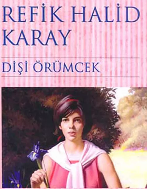 Dişi Örümcek Roman Özeti | Refik Halit Karay