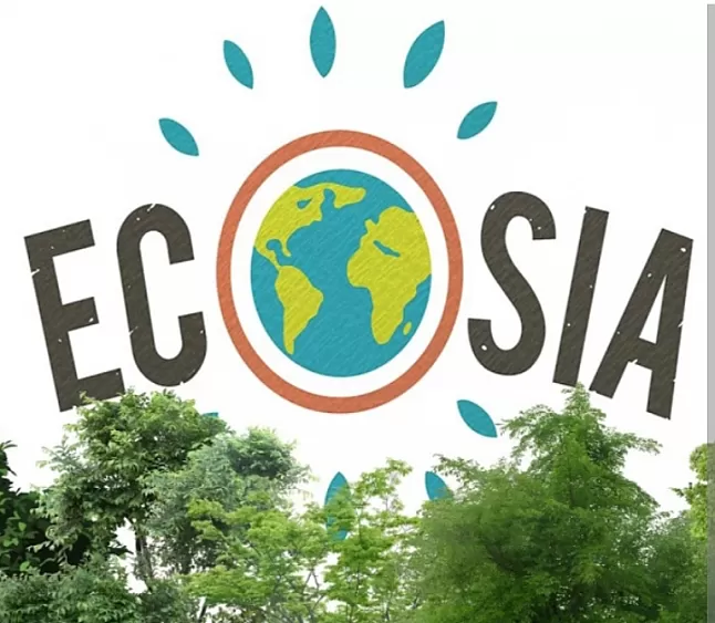 Ecosia Nedir? Ecoisa ağaç dikiyor mu ?