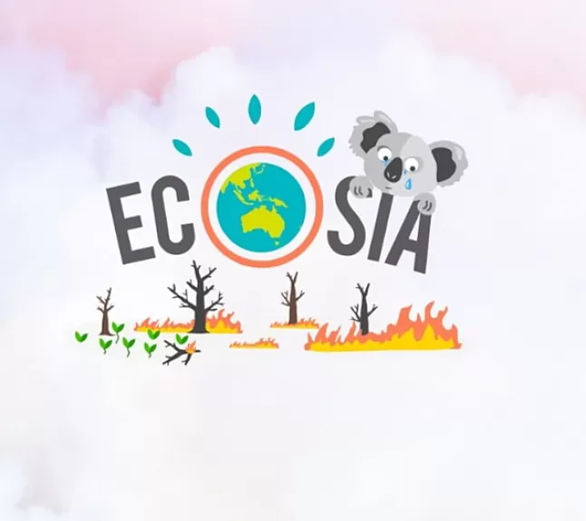 Ecoisa Ne İşe Yarar ?