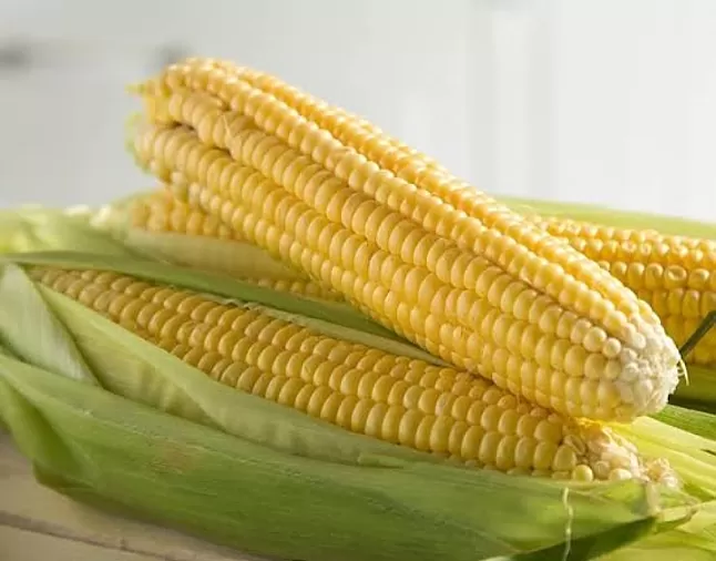 Rüyada Mısır Görmek Nedir ?