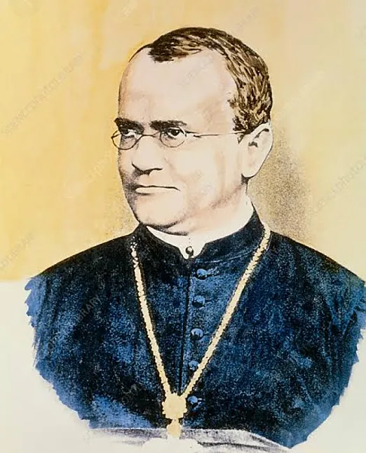 Gregor Mendel Kimdir? Ne Yapmıştır?