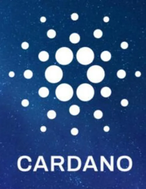 Cardano (ADA) Coin nedir?Cardano Ne İşe Yarar?