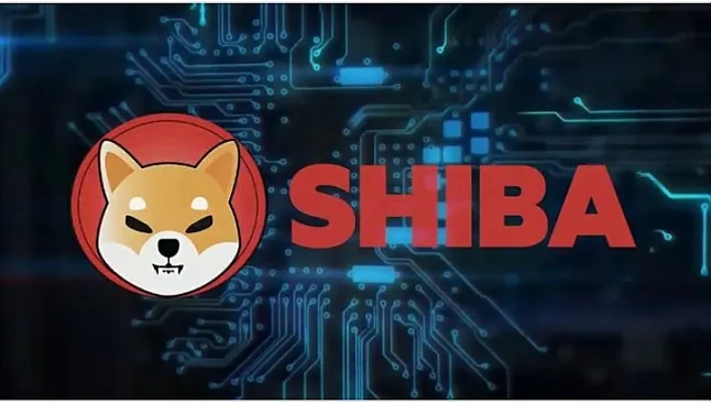 Shiba Inu nedir? Nasıl Satın Alınabilir?