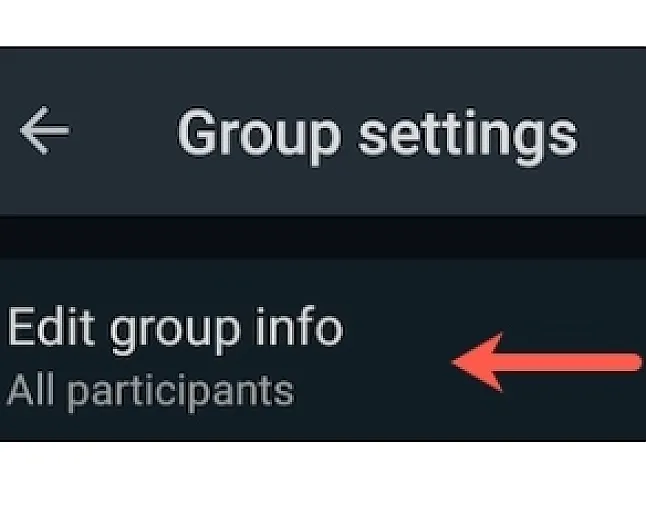 Üyelerin bir WhatsApp grubunun ayrıntılarını düzenlemesini nasıl engellerim ?