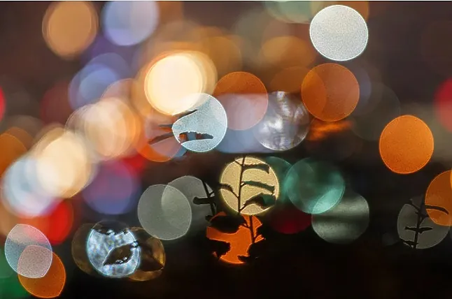 Fotoğrafta Bokeh Nedir Ve Nasıl Yaparsınız?