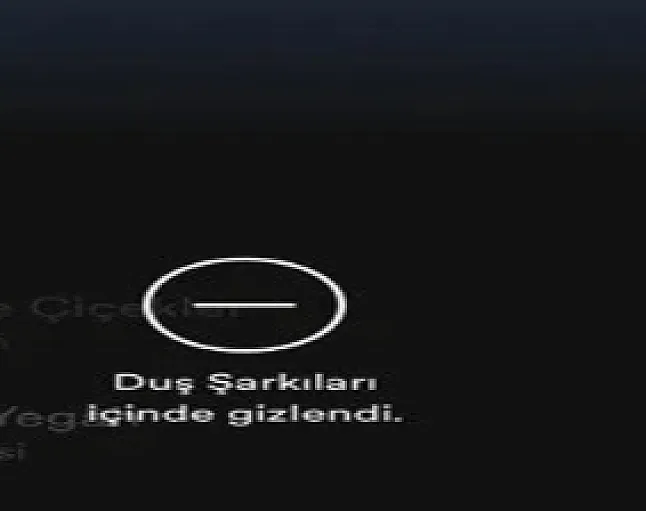 Spotify'daki Şarkıları Çalma Listesinden Nasıl Gizleyebilirim?
