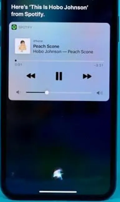 Spotify'dan iOS, Android veya Bilgisayara aktarma