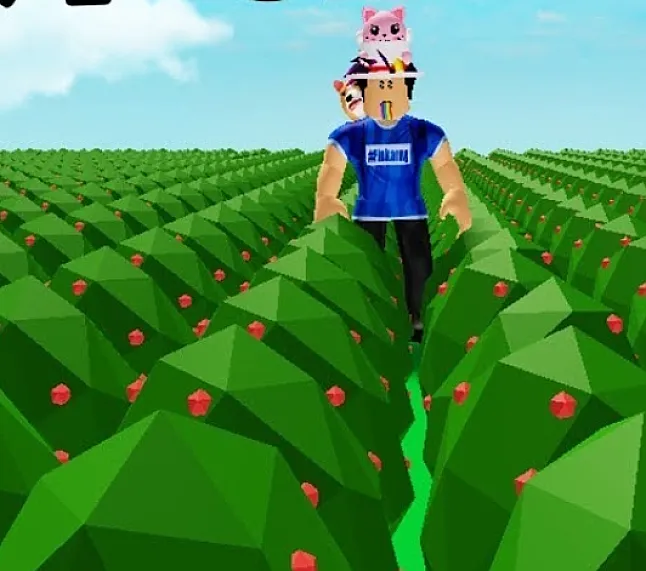 Roblox Skyblock'ta Berry Bush Nasıl Alabilirim ?