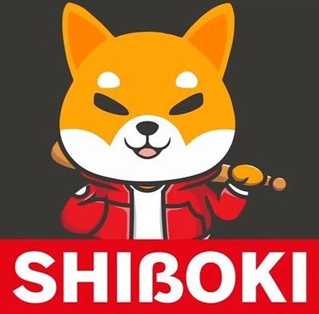 SHIBOKI token nedir?