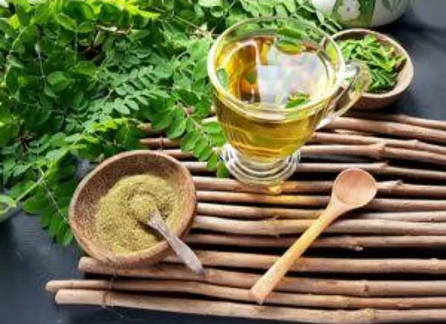 Moringa Çayı Nedir?