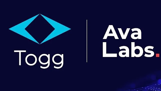 Ava Labs Coin Nedir?Ava Labs Coin Ne İşe Yarar?