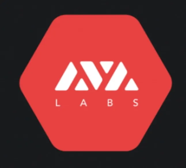 Ava Labs Coin Nedir?Ava Labs Coin Ne İşe Yarar?