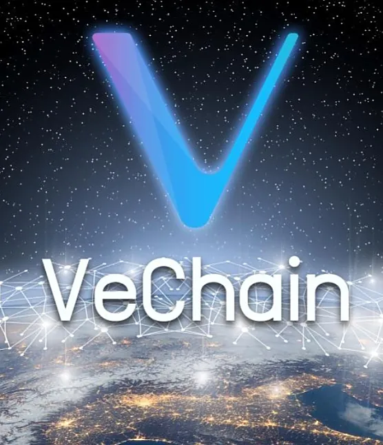 VET coin nedir?VET coin ne işe yarar ?