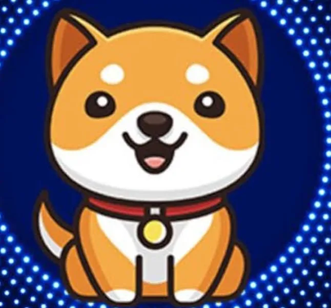 BabyDoge coin nedir?BabyDoge Coin Geleceği Nasıl Olacak ?