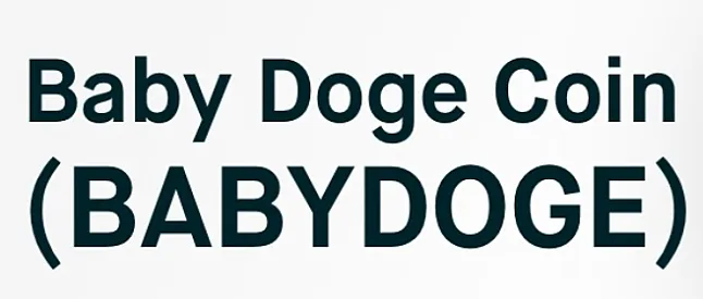 BabyDoge coin nedir?BabyDoge Coin Geleceği Nasıl Olacak ?