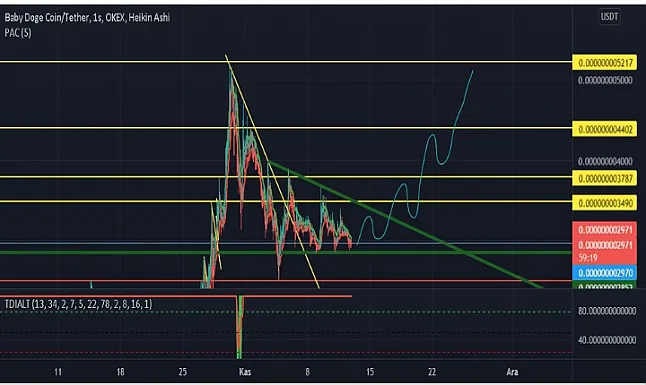 BabyDoge coin nedir?