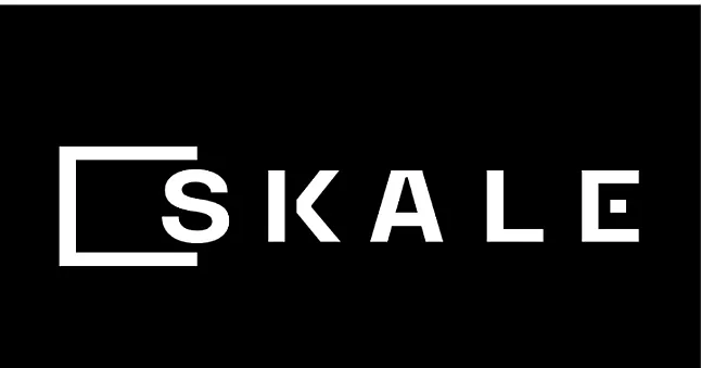 SKL Coin Nedir? SKL Coin Yorum ve Grafiği!