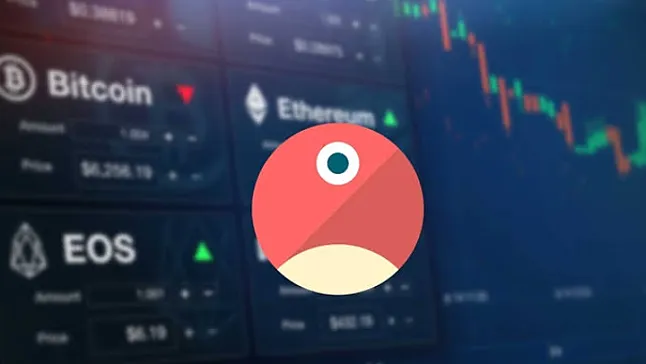 pNetwork (PNT) Nedir?PNT Coin Ne İşe Yarar?