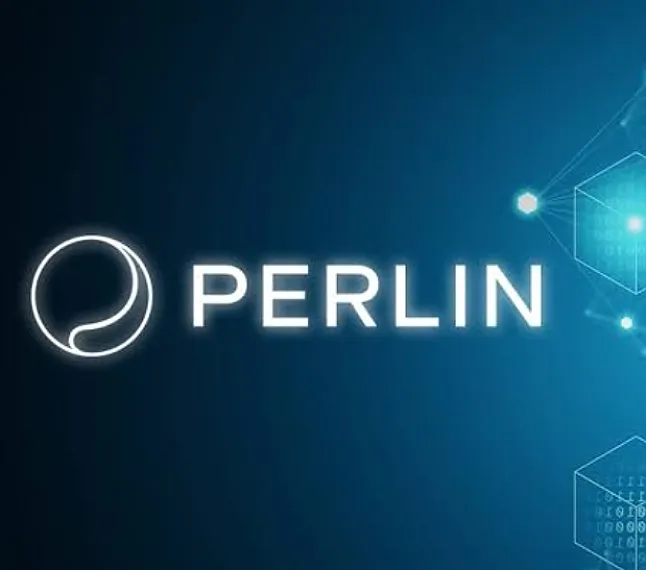 Perlin Coin Nedir?Perl Coin Ne İşe Yarar?